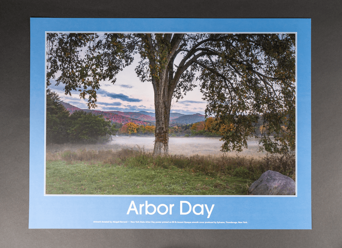 Arbor Day Poster 2025