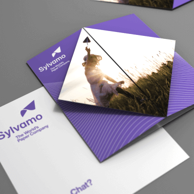 Sylvamo paper products with a dog in a field on a gray surface