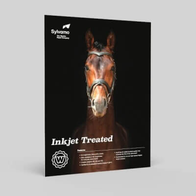 Williamsburg brochure with a horse's face on a black background, featuring the Sylvamo brand.